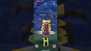 GIRATINA FROM PVP REWARDS!!