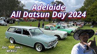 Adelaide All Datsun Day 2024.