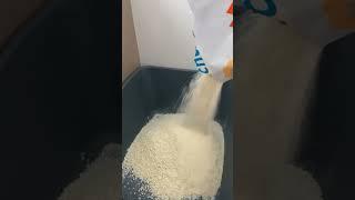 white white wonder litter! #cat #catcute #catlover #litter#wonderlitter