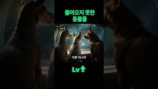 [우주 Lv.2] 우주로 보내진 동물들 #라이카 #우주 #스푸트니크 #상식 #곰벌레 #강아지