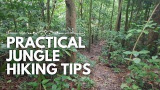 Practical Jungle Hiking Tips for Beginners in a Malaysian Rainforest