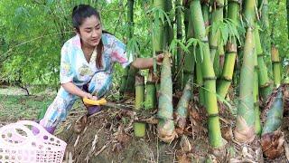 Countryside Life TV: Have you ever cut bamboo shoot for cooking? - Family food cooking