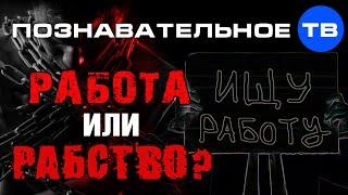 Работа или рабство? (Познавательное ТВ, Наталья Манежева)