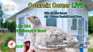 Coturnix Corner LIVE - Aly from Maines Confetti Quail Farm