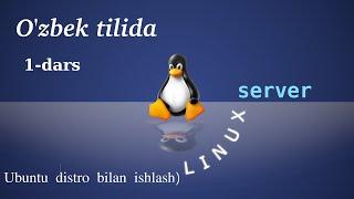 Lesson 1 Introduction to Linux (Ubuntu distro), working with commands #linux #server #uzbek