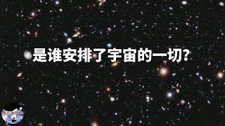 是谁安排了宇宙的一切？︱【猪二哥探索】