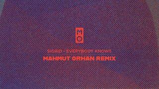 Sigrid - Everybody Knows (Mahmut Orhan Remix)