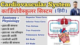 Cardiovascular System in hindi | Structure of Heart | Blood Circulation | SA Node |AV Node | Artery