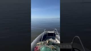 Охотское море #сахалин #лес #лето #рыбалка #охота #море #горбуша #курильскиеострова #мирживотных