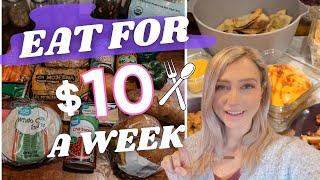 EXTREME BUDGET CHALLENGE || A WEEK OF MEALS FOR $10 || CHEAP RECIPES