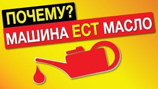 МАСЛОЖОРу НЕТ! КАК СНИЗИТЬ РАСХОД МАСЛА В ДВИГАТЕЛЕ? Авто жрет масло? Причины.