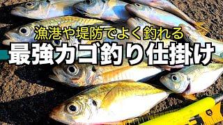 なんでも釣れる最強カゴ釣り仕掛け、釣り方決定版