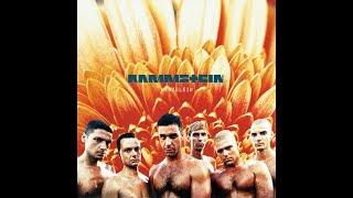 Rammstein - Du Riechst So Gut [HQ - FLAC]