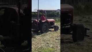 Old tractor is the best worker #agriculturelife #agribee