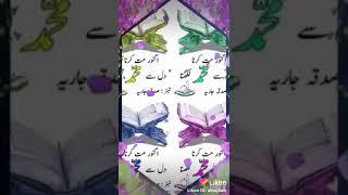 SHAIK IMRAN BASHA