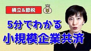 【小規模企業共済】個人事業主と社長の退職金！積立しながら節税できる優れもの by女性税理士