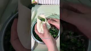 #包子手法 #花样包子 #面食分享