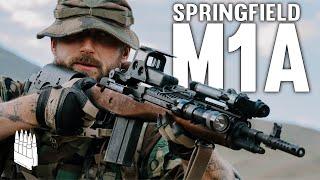 The Gun Liberals Aren’t Scared Of But They Should Be. The Springfield M1A Scout