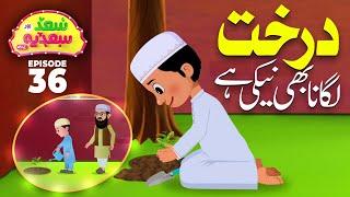 Saad Aur Sadia Cartoon Series Ep 36 | Darakht Lagana Bhi Naiki Hai | 2D Cartoon | Kids Madni Channel