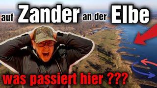 𝐖𝐚𝐬 𝐩𝐚𝐬𝐬𝐢𝐞𝐫𝐭 𝐡𝐢𝐞𝐫 ?  Ein verrückter Angeltag an der Elbe 