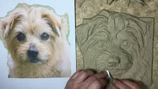 Sculpting “Willow” a Norfolk Terrier | Sondra Alexander Pet Portraits.