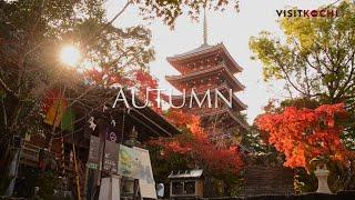 The blessings of nature - autumn  PV- VISIT KOCHI JAPAN