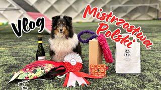 VLOG: MAISIE II VICE MISTRZEM POLSKI AGILITY! - CZY RIZZ WOLI INNE PSY ODE MNIE? :( | PAULINA I PSY