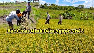 Quang Dũng || Đếm Ngược Từng Ngày Để Thu Hoạch Và Không Ngừng Mở Rộng Diện Tích Cây Lương Thực