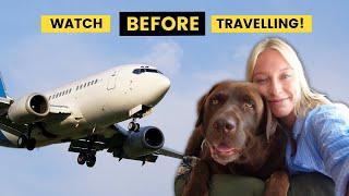 International Travel with a Dog (Everything you need to know)