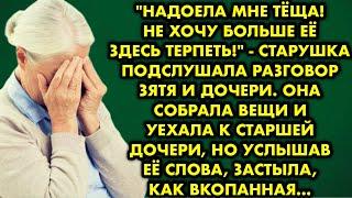 "Надоела мне тёща! Не хочу больше её здесь терпеть!" - старушка подслушала разговор зятя и дочери…