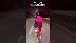 RCC 야라! 집 왕복하니 고도 1,200m인건 안비밀 #부산자전거 #cycling #부산라이딩 #bike #bikecycle #자전거
