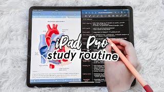 My effective study routine (2020) ️