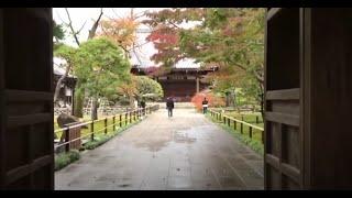 A walk through a Zen Buddhist temple and its gardens in Tokyo- Kansenji 観泉寺