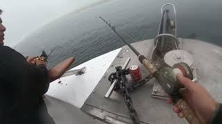 Mirage Halibut and Rockfish 6-6-2024