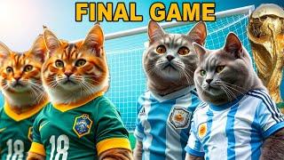 EPIC CATS KITTENS WORLD CUP FINAL FOOTBALL GAME! ARGENTINA VS BRAZIL