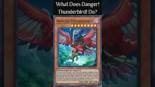 What Does Danger! Thunderbird! Do? (Yugioh Cards Explained for Easy Deck Building)