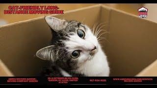 Cat-Friendly Long-Distance Moving Guide | Abreu Movers Queens