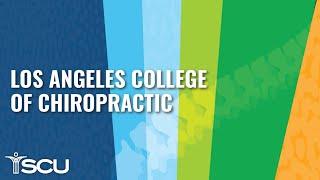 Doctor of Chiropractic Program