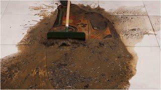 Man's Satisfying Clean: Reviving a Really Dirty Rug! 