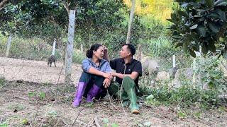 Johnny returns to the farm with his wife to plant and take care of the farm.