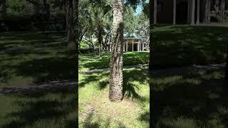 WHERE ARE THE BEST PLACES TO BUY  TOWNHOUSES & CONDOS in Brevard County. VIERA MELBOURNE