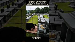 #지장보살님 극락세계에서 오손도손 행복할 수 있도록 보살펴주세요! 남원윤씨 가족묘를 마련하고 할아버지 할머니 아버지를 모시던 날~~