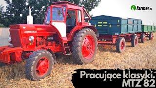 Pracujące klasyki: MTZ 82 | Farmer.pl