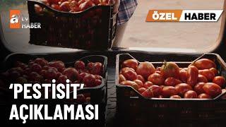 ÖZEL HABER - Tarım Bakanı İbrahim Yumaklı’dan ‘pestisit’ açıklaması - atv Ana Haber 29 Kasım 2024