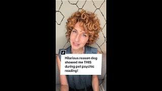 Unbelievable! Dog Reveals Surprising Secrets in Hilarious Pet Psychic Reading! 