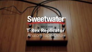 T-Rex Replicator Analog Tape Delay Review by Sweetwater