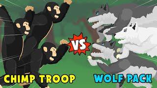 Chimp Troop vs Wolf Pack | Jungle vs Woodland Animals [S1] | Animal Animation