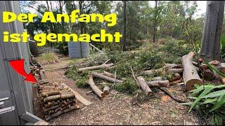 Update aus Andy's Garten, Luba2 und Yuka, Peter Inverter und... Daly