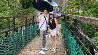 “KL LIEW”正在直播！auntie Liew的爱情故事，￼阿里山国家森林