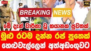 hiru news today 11 55  | breaking news |  news sri lanka today sinhala | today news sinhala hiru